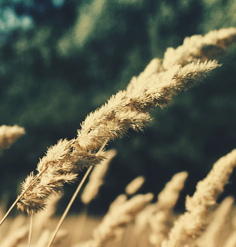 轰炸电话